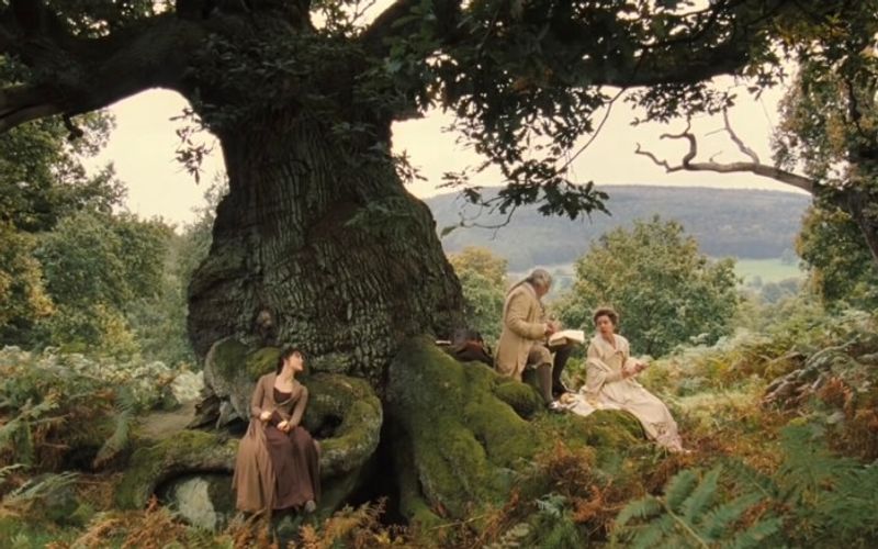 A Large Tree in the Forest