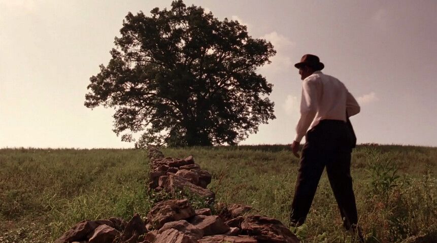 Oak Tree in Buxton, Maine