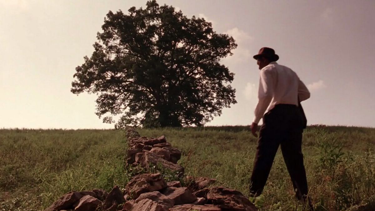Oak Tree in Buxton, Maine