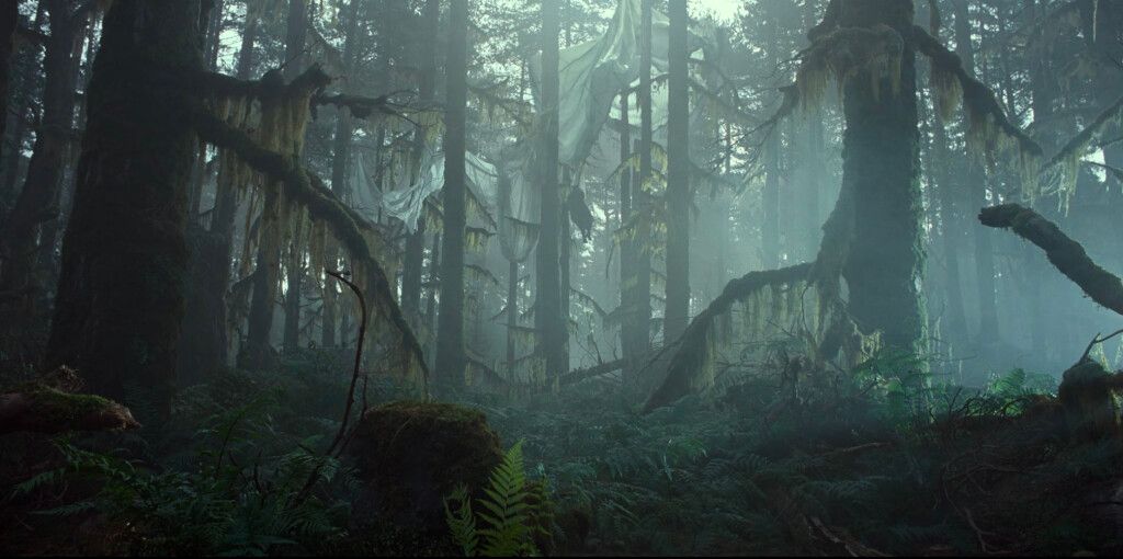 American Forest