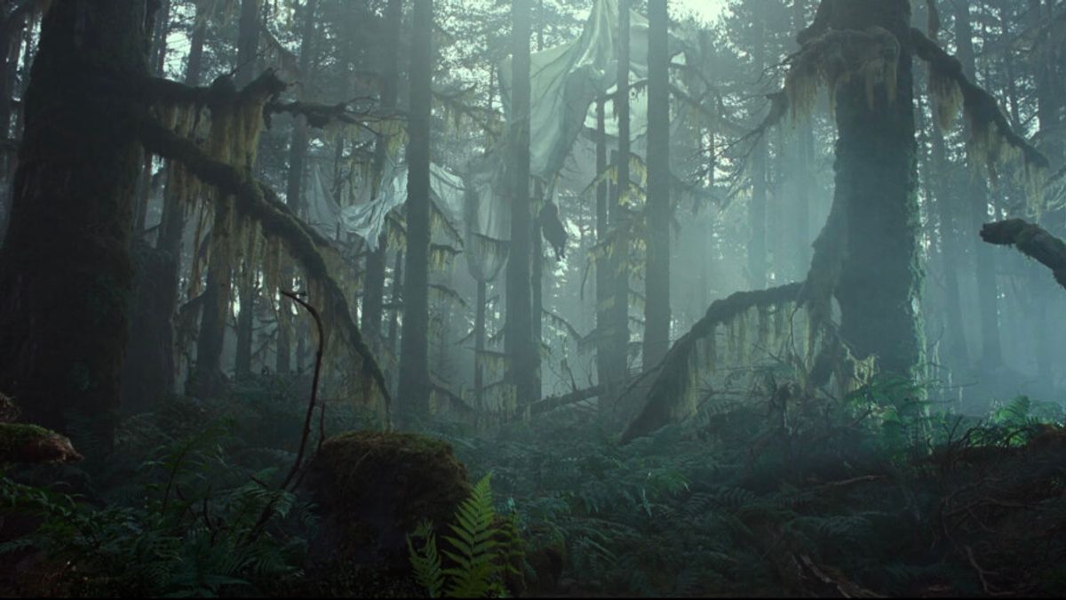 American Forest