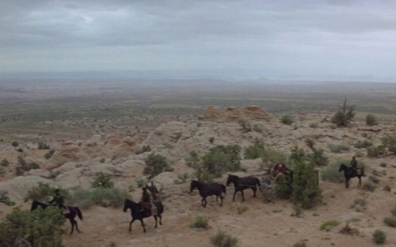 Forbidden Zone