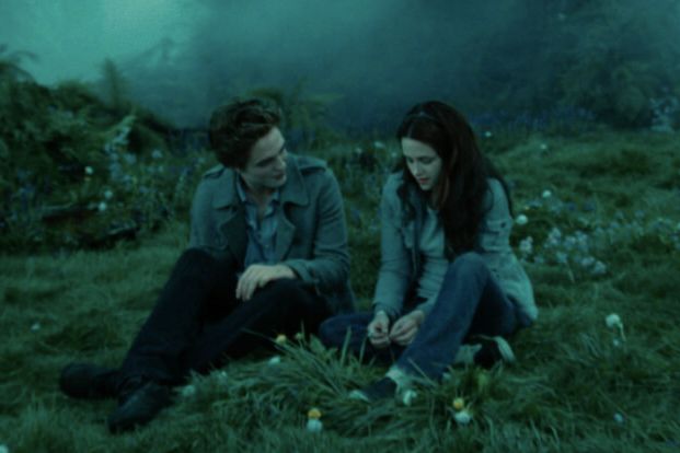 The Meadow
