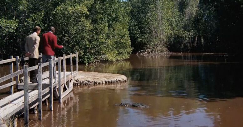 The Farm, Louisiana, United States
