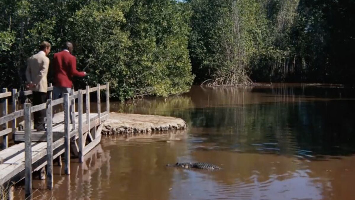 The Farm, Louisiana, United States