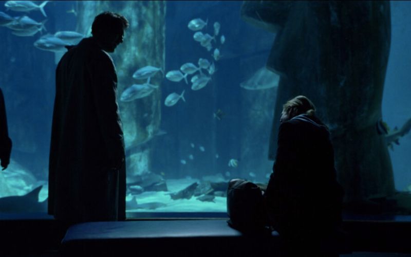London Aquarium