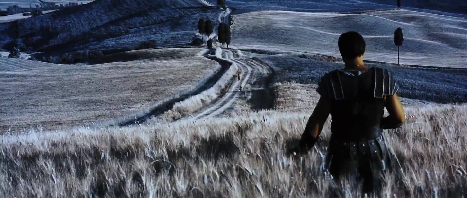 Wheat Field