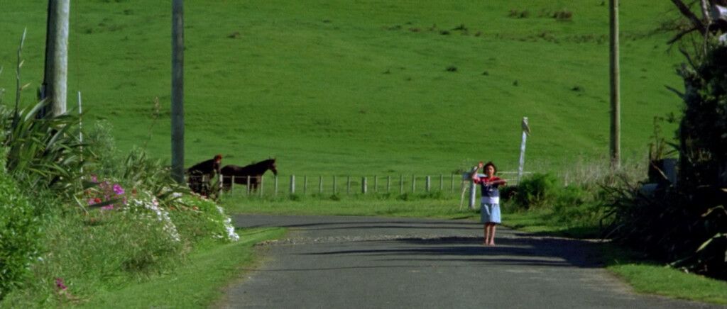 Road in Whangara