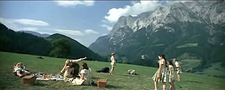 Mountain Meadow