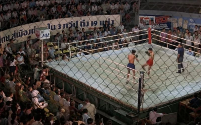Muay Thai Arena