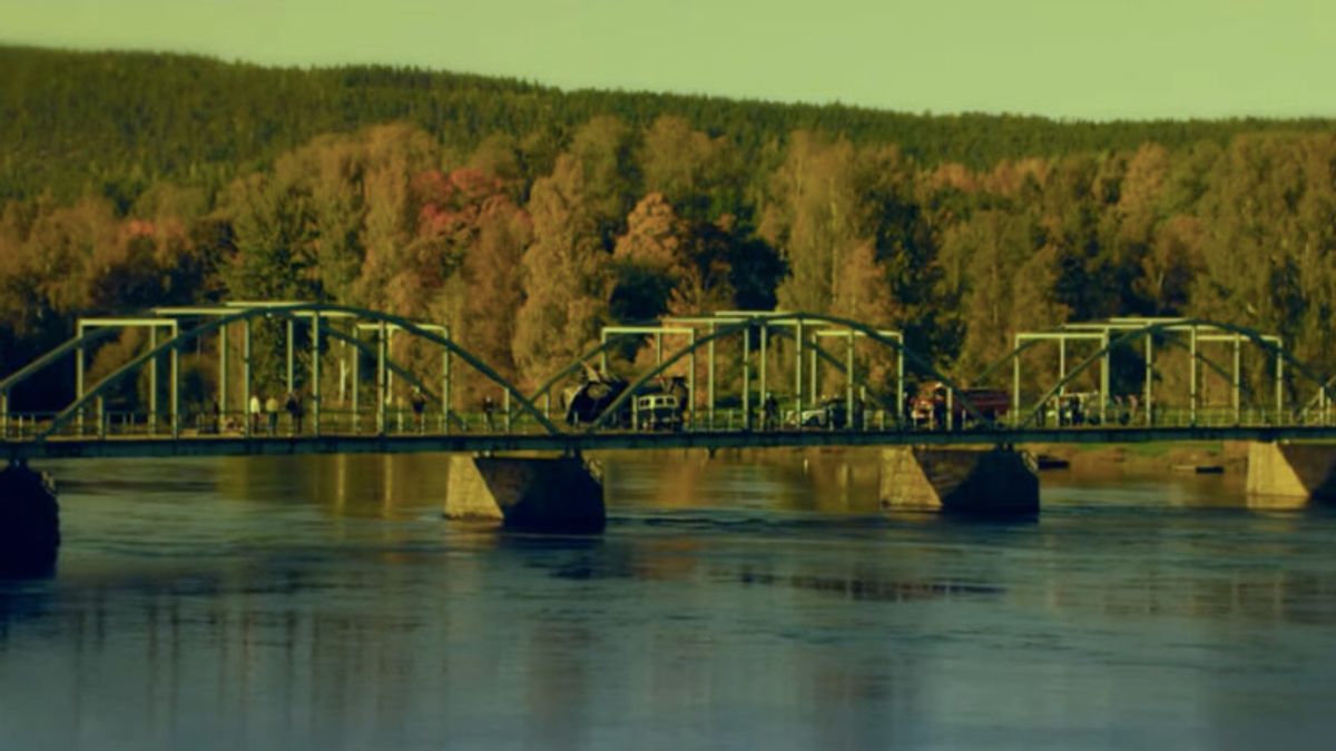 Bridge to the Vanger Estate