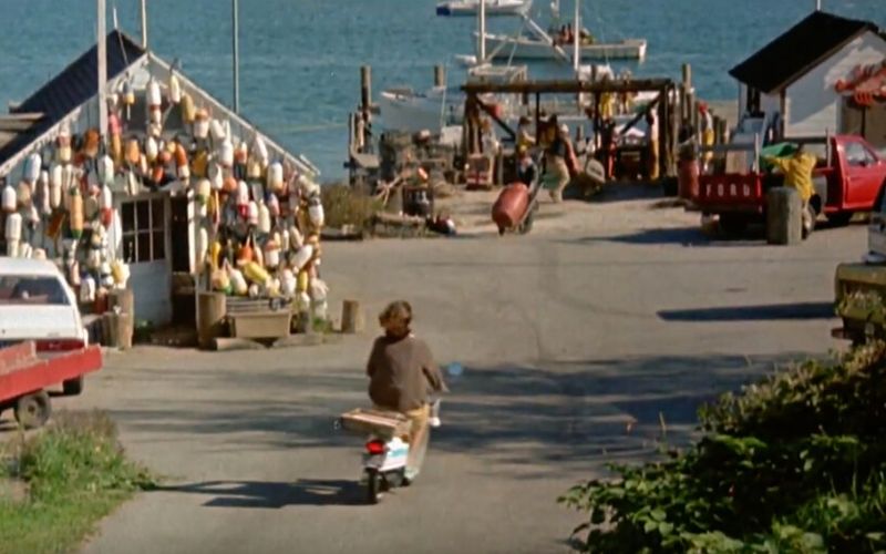 Ferriera Lobsters, Mystic