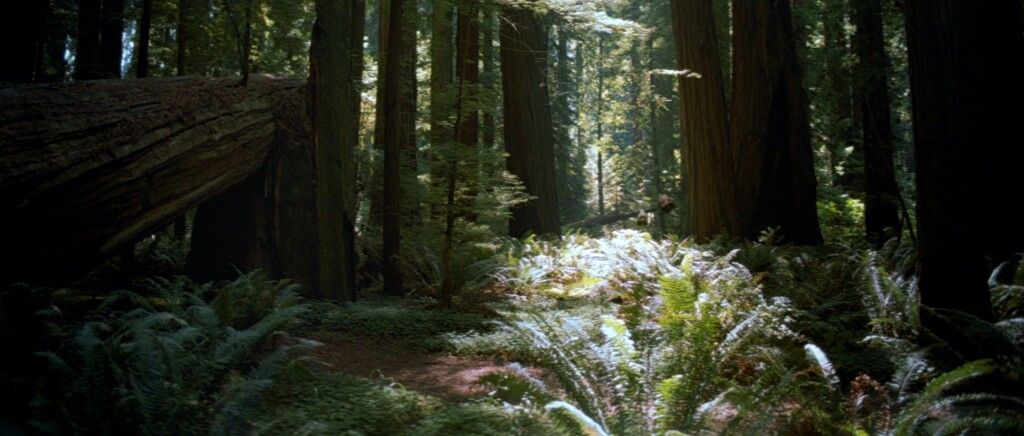 Endor