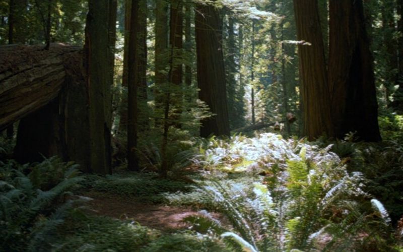Endor