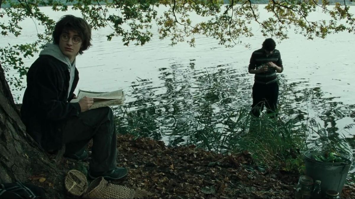 Hogwarts Lakeside
