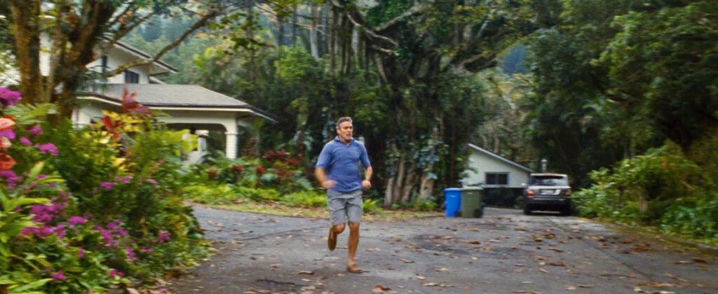 Matt King's House