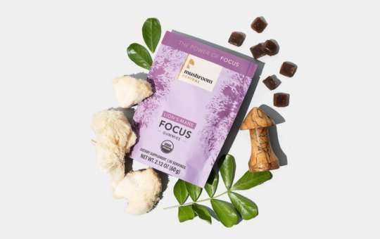 mushroom revival mushroom gummies