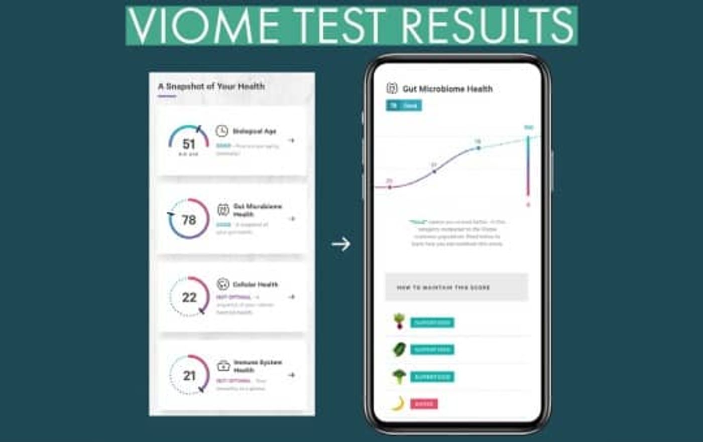 viome test sample report