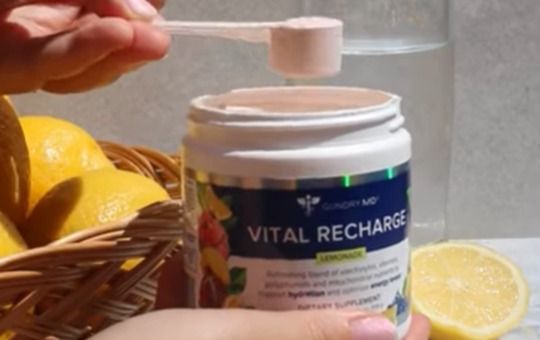gundry vital recharge scoop