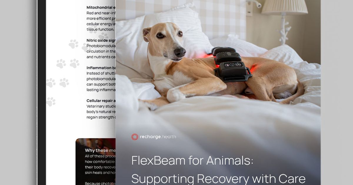 FlexBeam Animals Supporting Recovery Care
