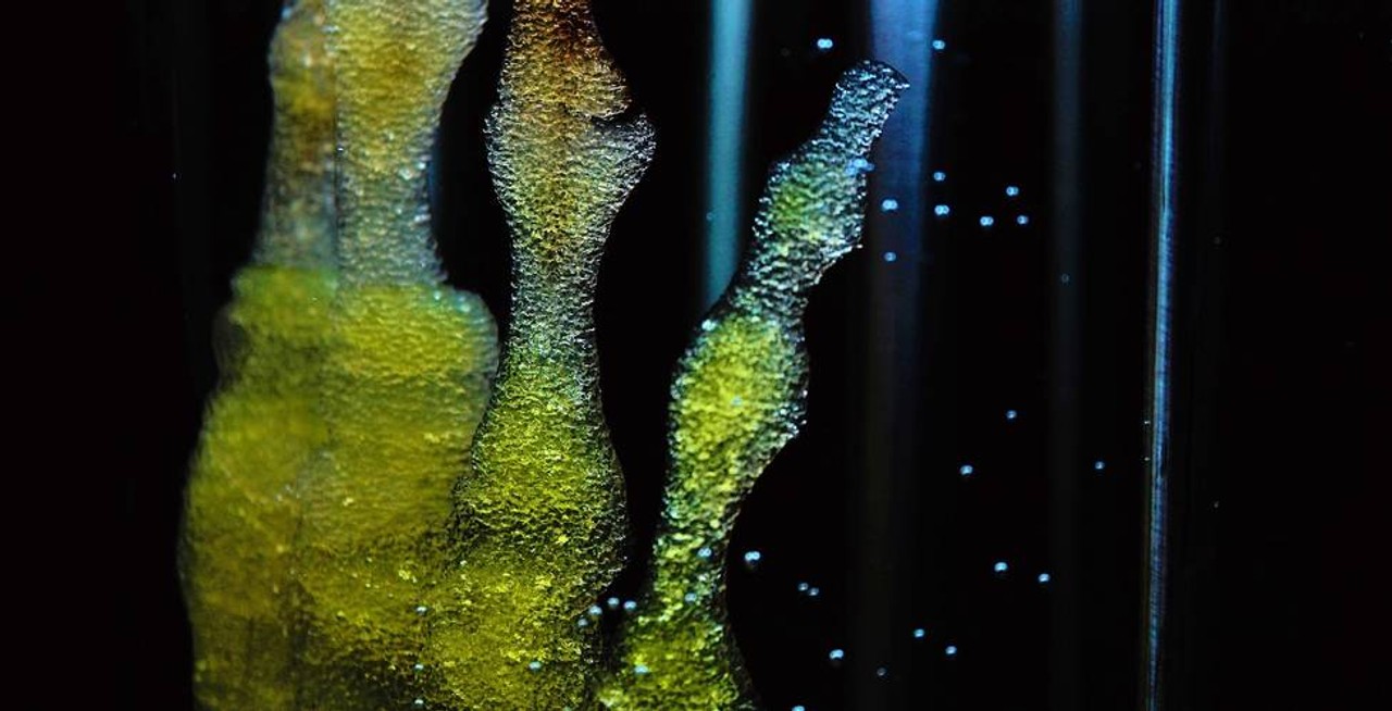 Your donations will support life changing projects worldwide Wings