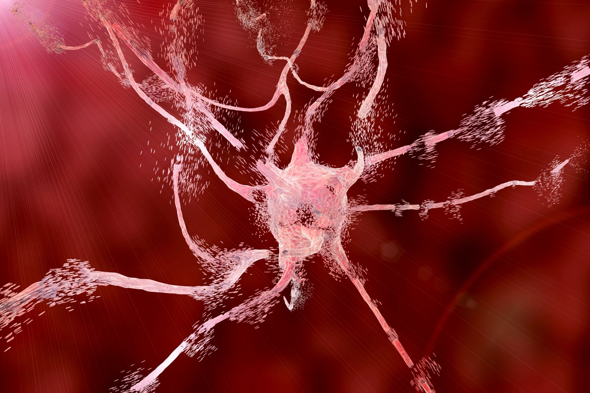 Your donations will support life changing projects worldwide Wings