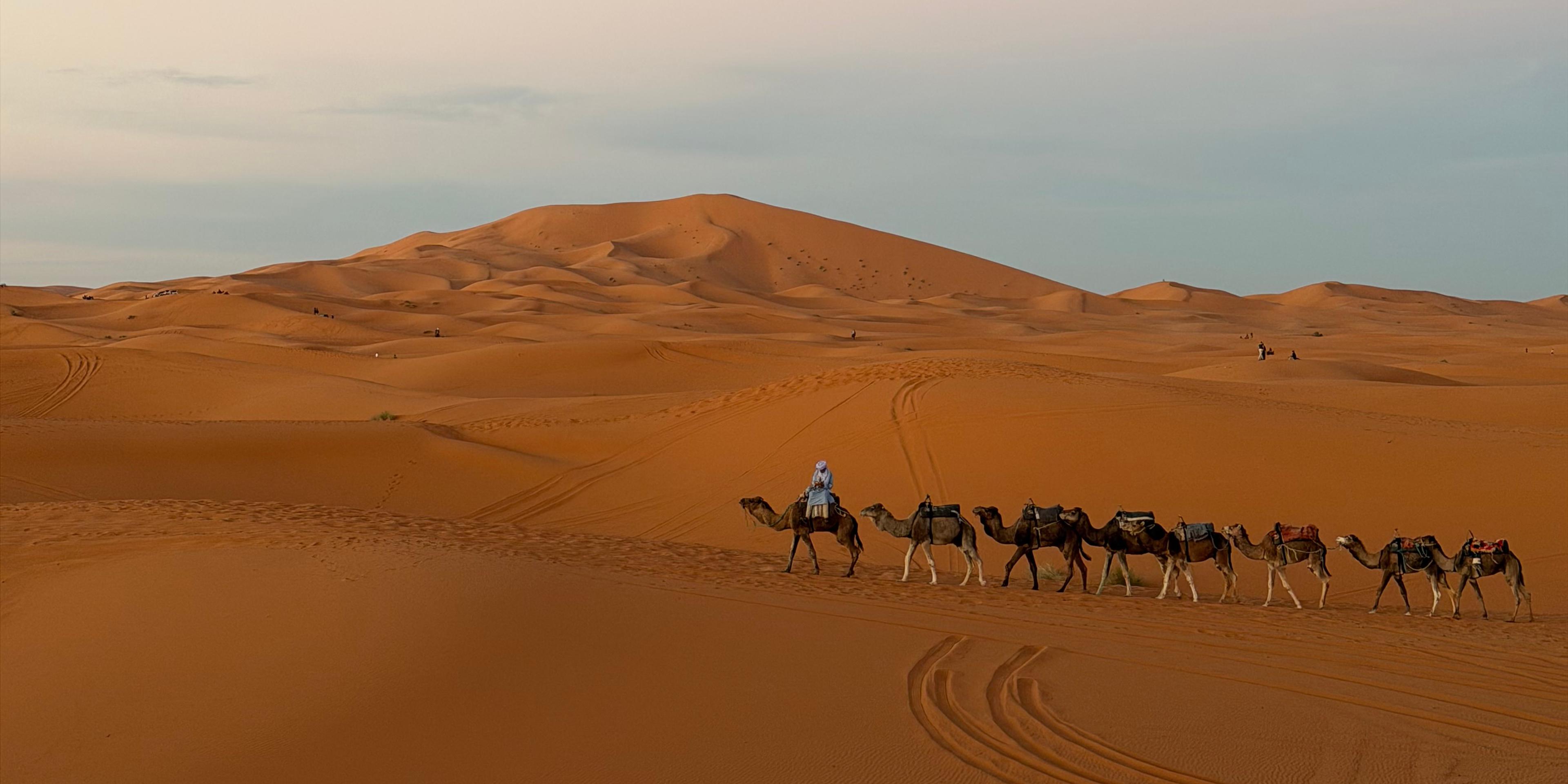 Desert Experience