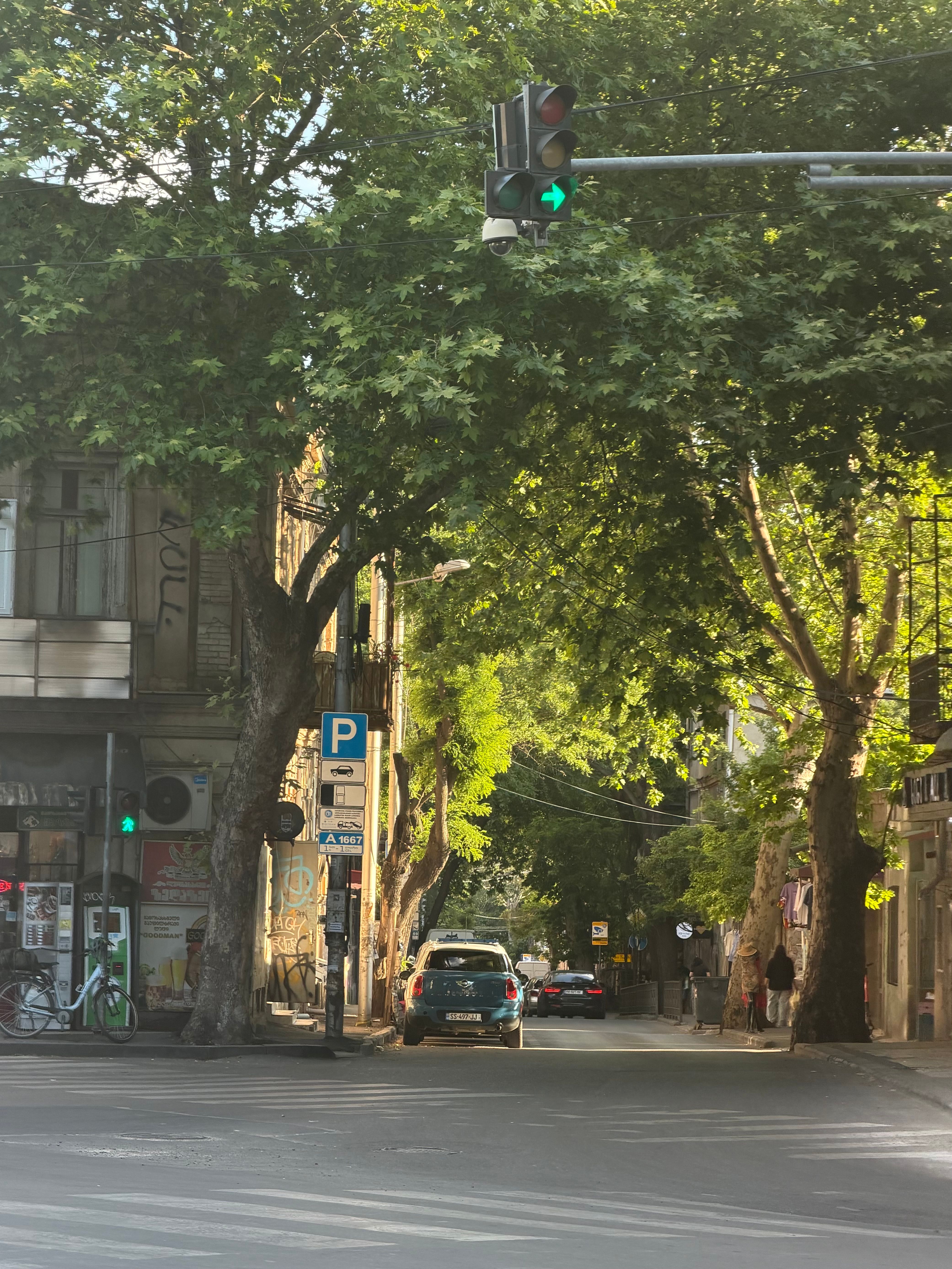 The Week We Started Planning a Life in Georgia