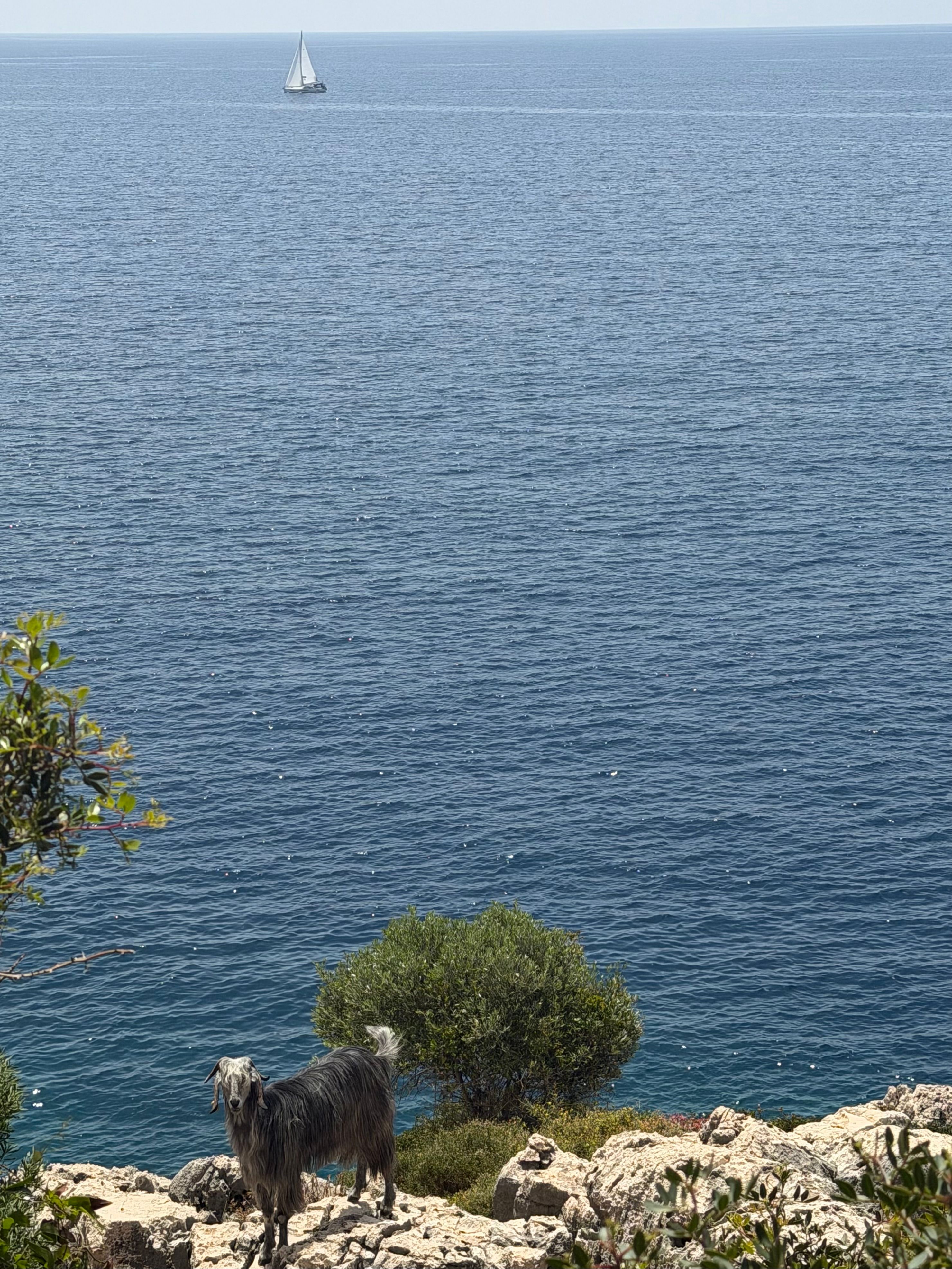 Pushing our feet forward along the Lycian Way