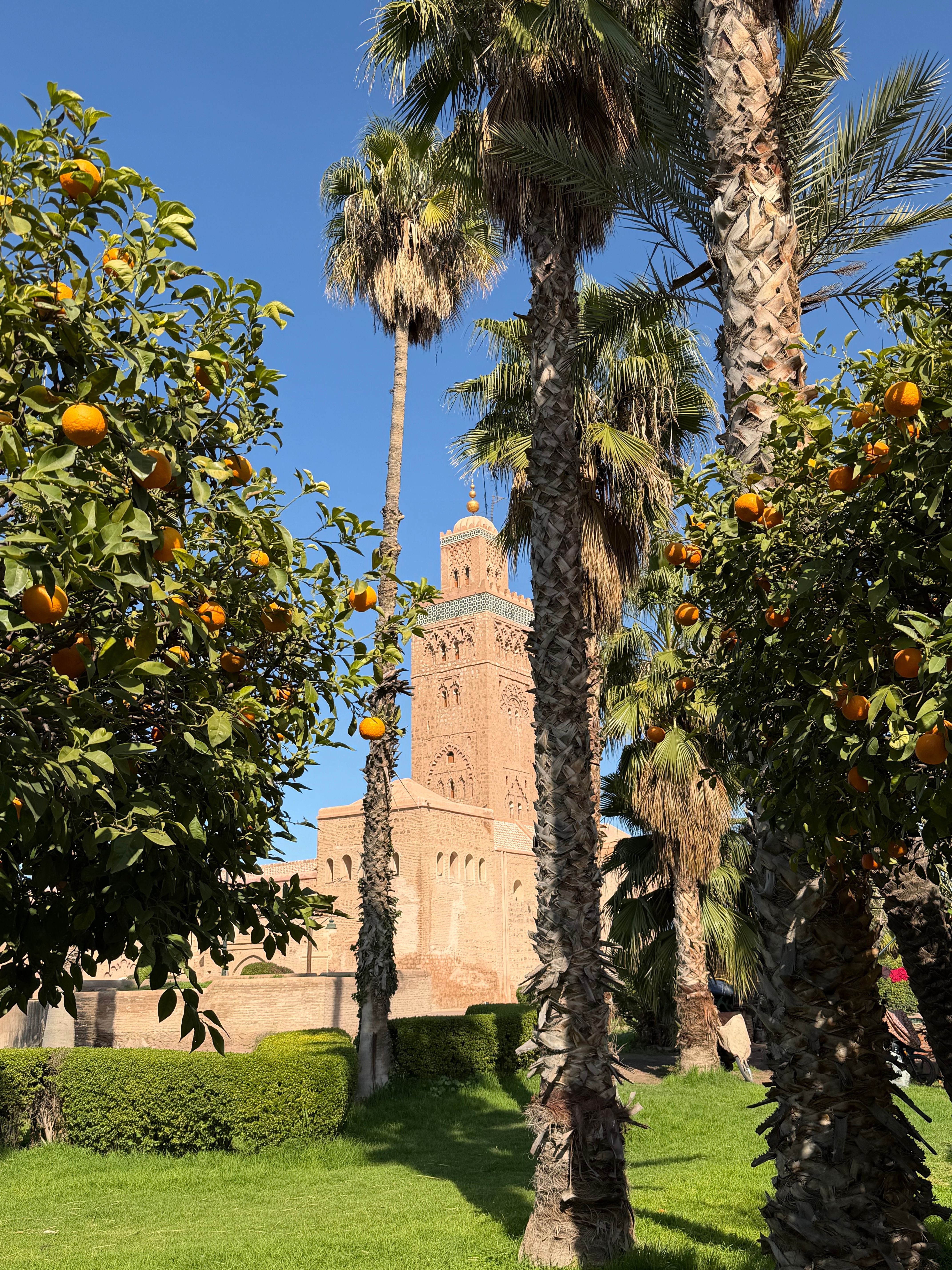 Exploring Marrakesh