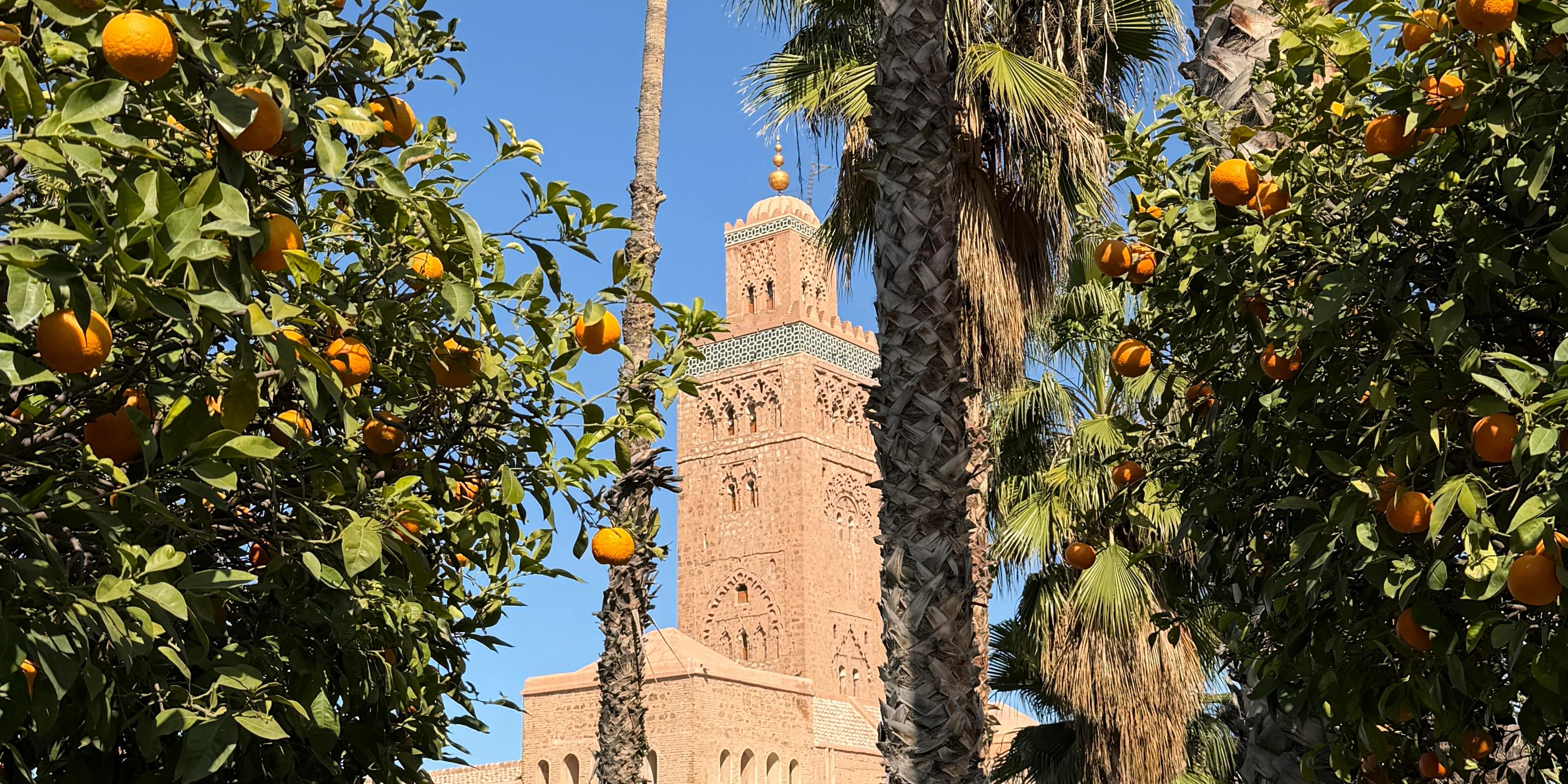 Exploring Marrakesh