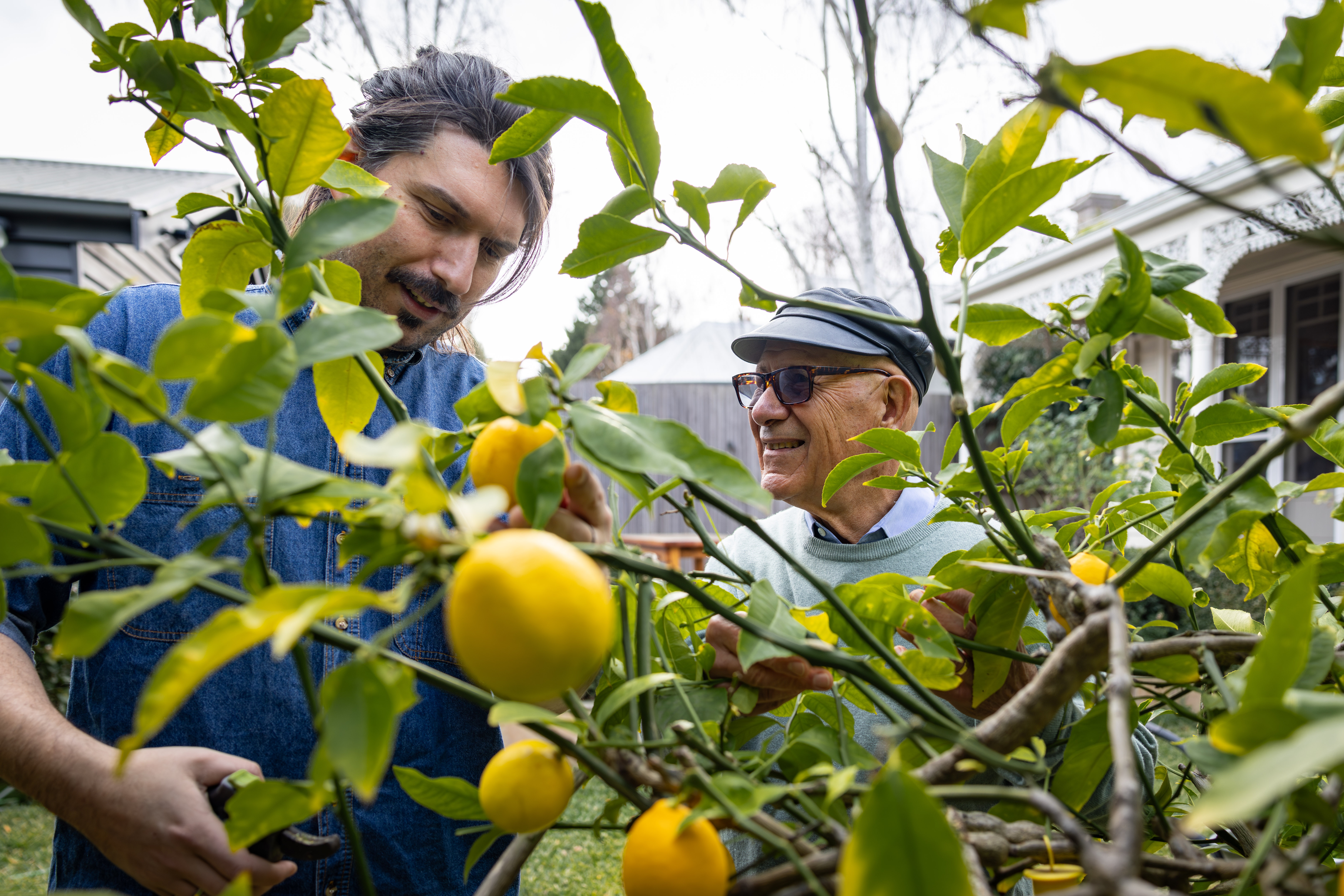 Commonwealth Home Support Programme (CHSP)