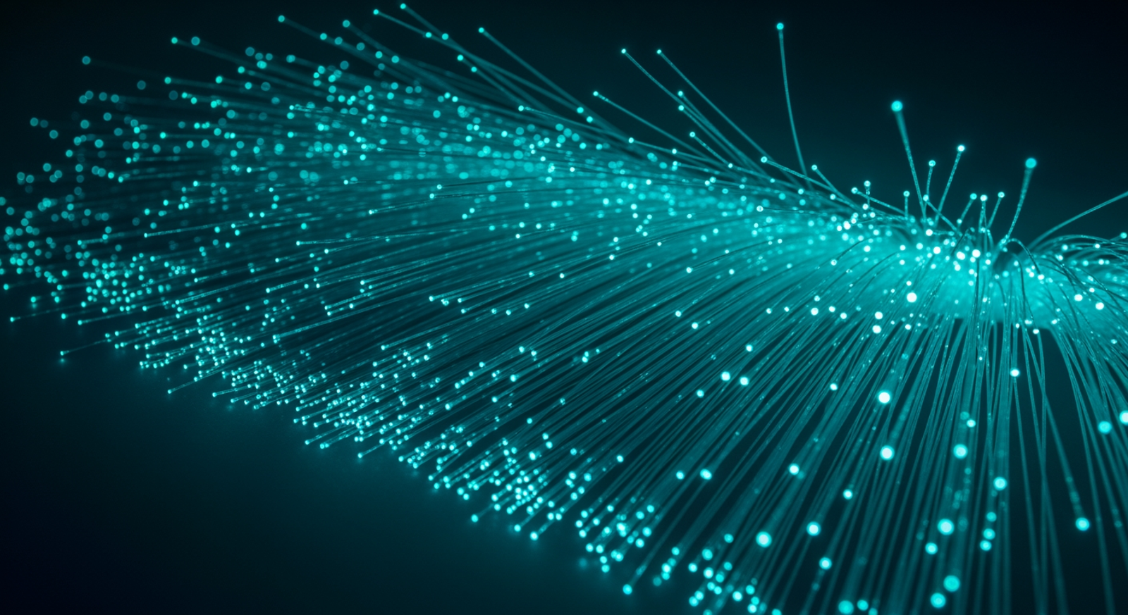 Dense parallel fiber optic strands — market data feed