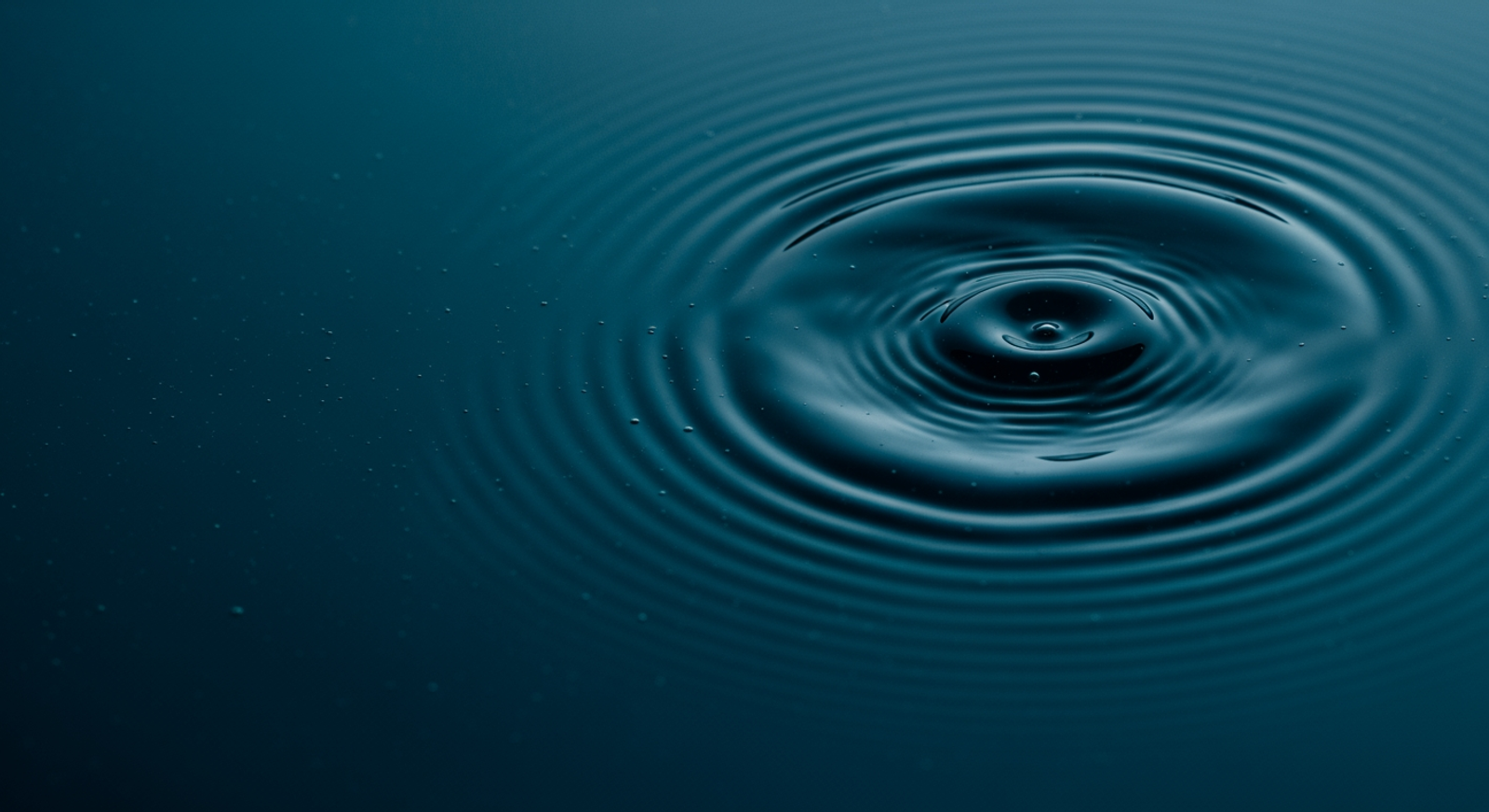 Concentric ripples — information half-life of a trade