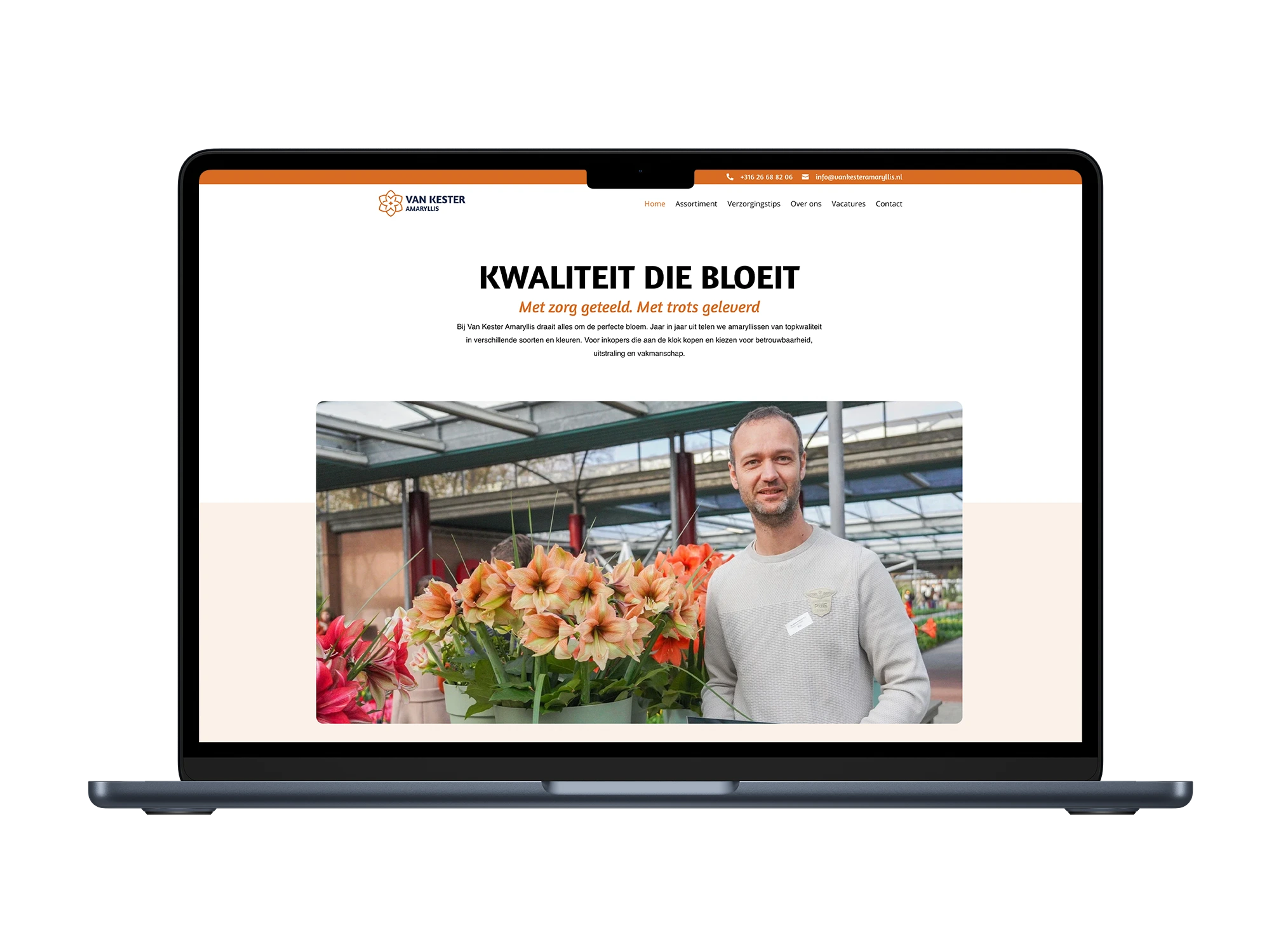 Van Kester Amaryllis – mockup