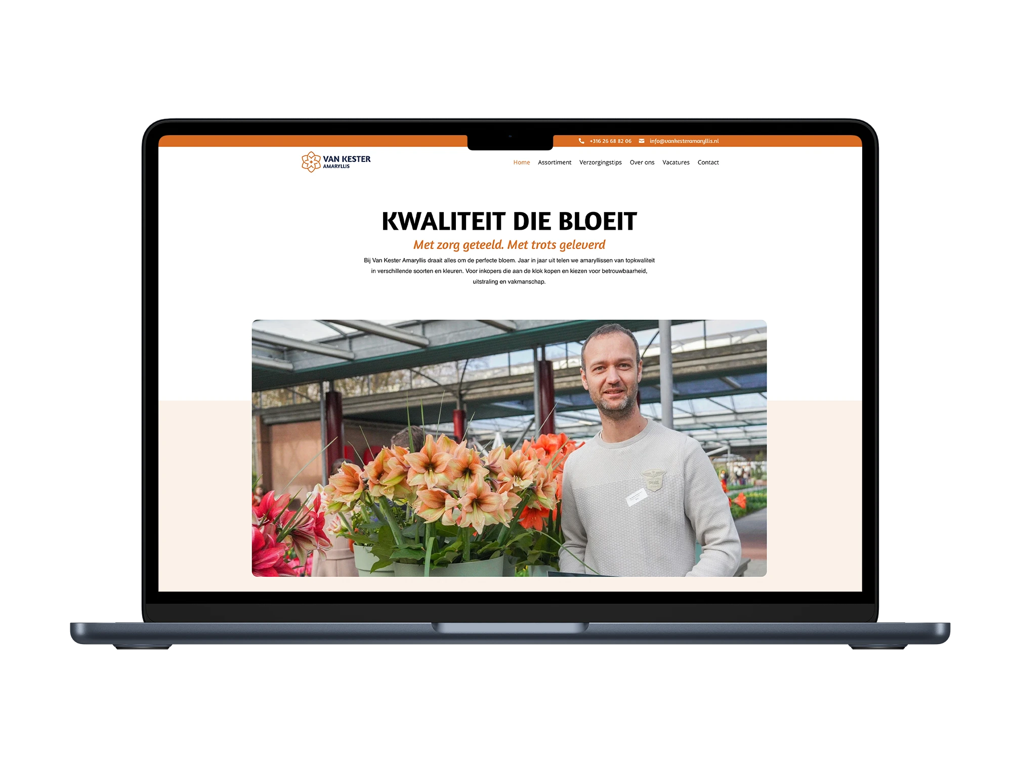 Van Kester Amaryllis – mockup