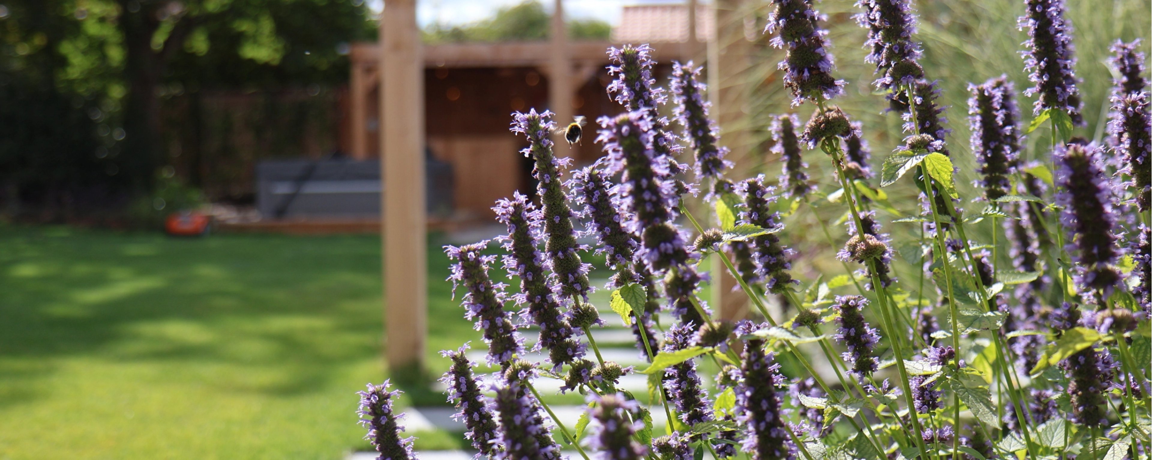 De tuin in met Twan – header