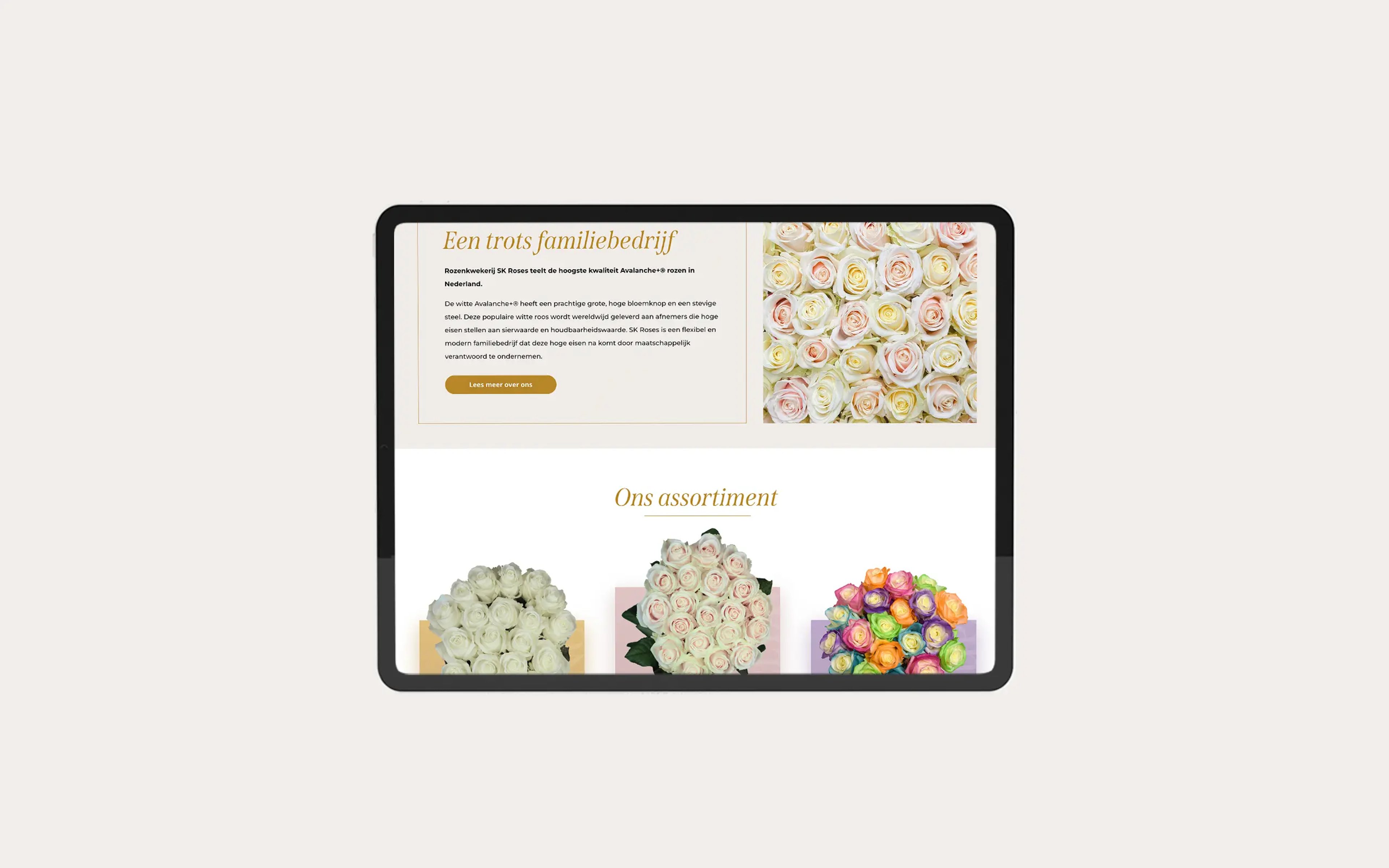Sk Roses – visual 1