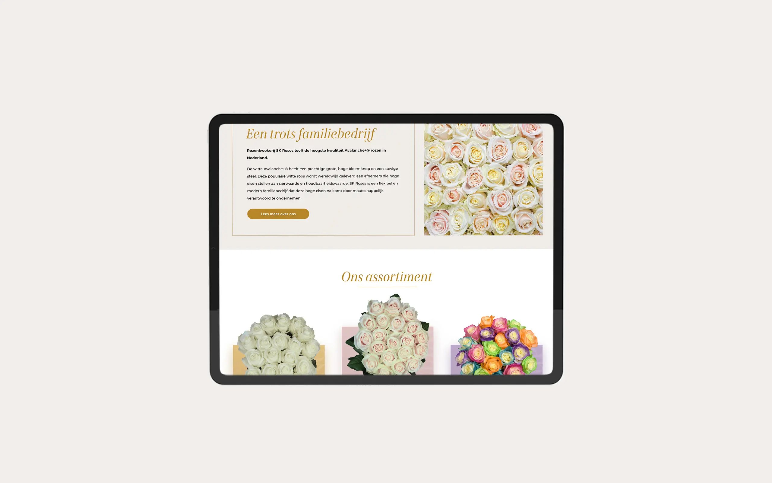Sk Roses – visual 1