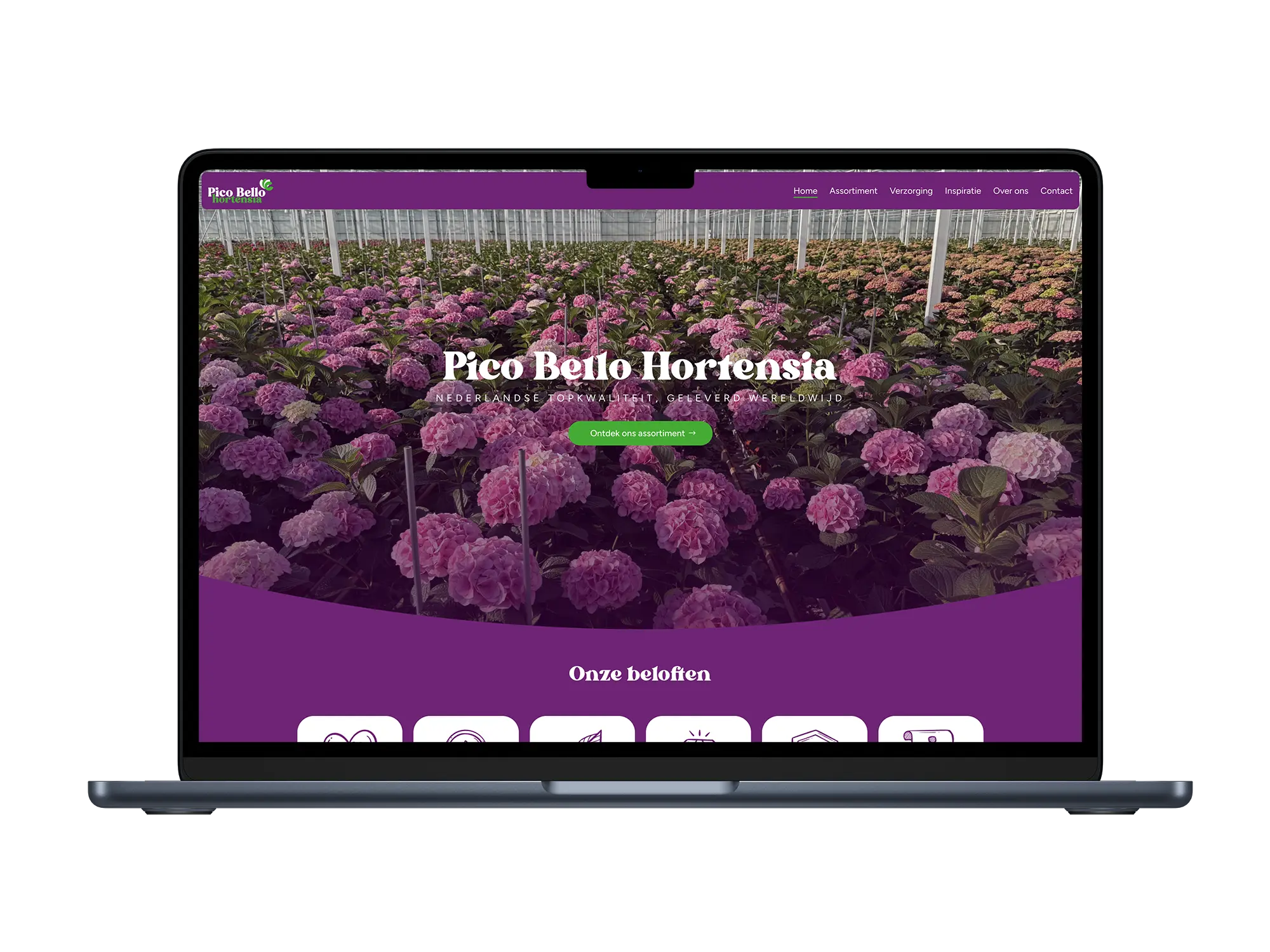 Pico Bello Hortensia – mockup