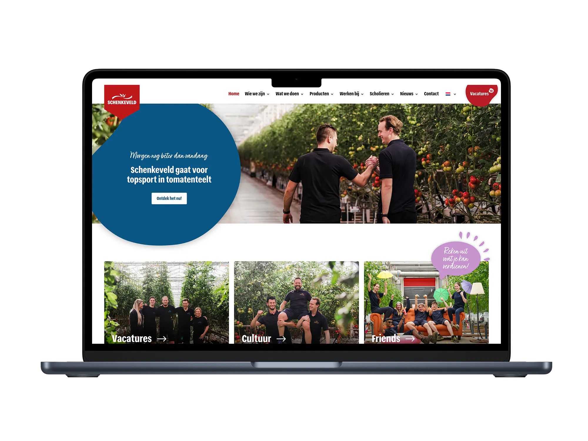 Schenkeveld Tomaten – mockup