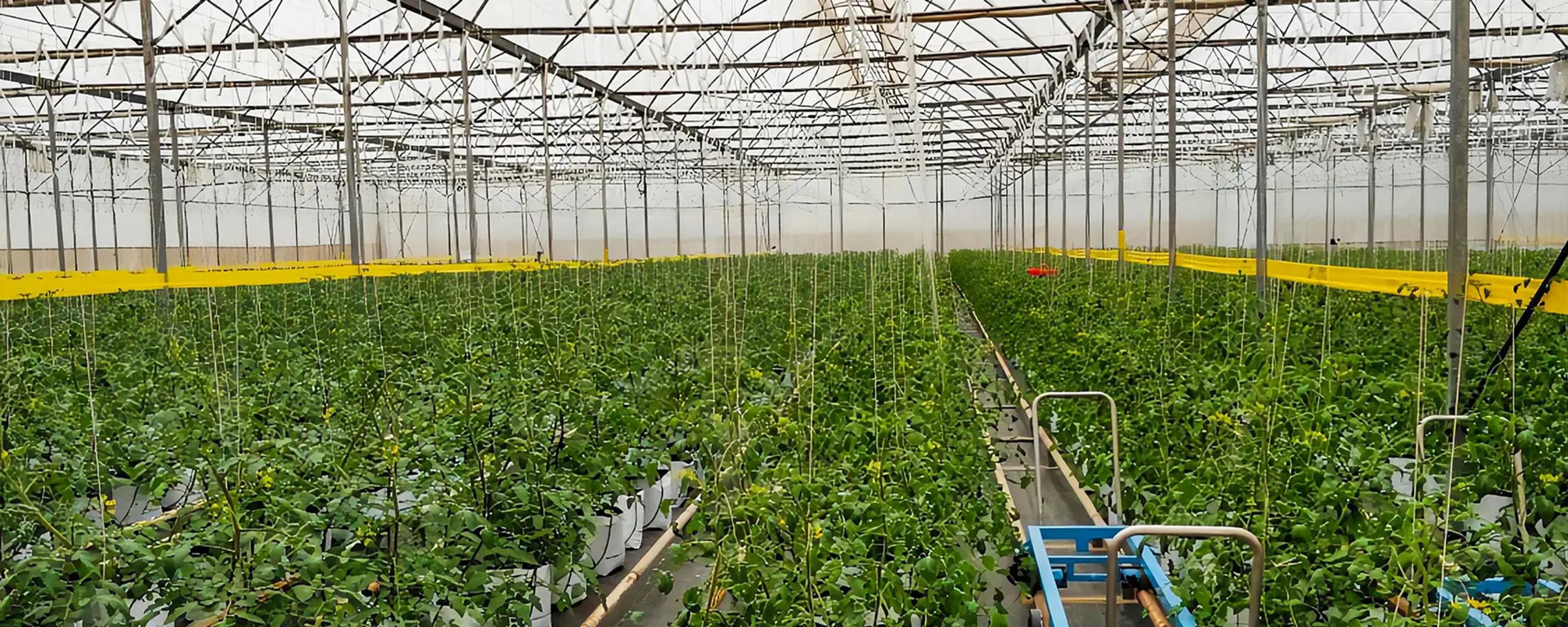 Horti Tech Asia – header