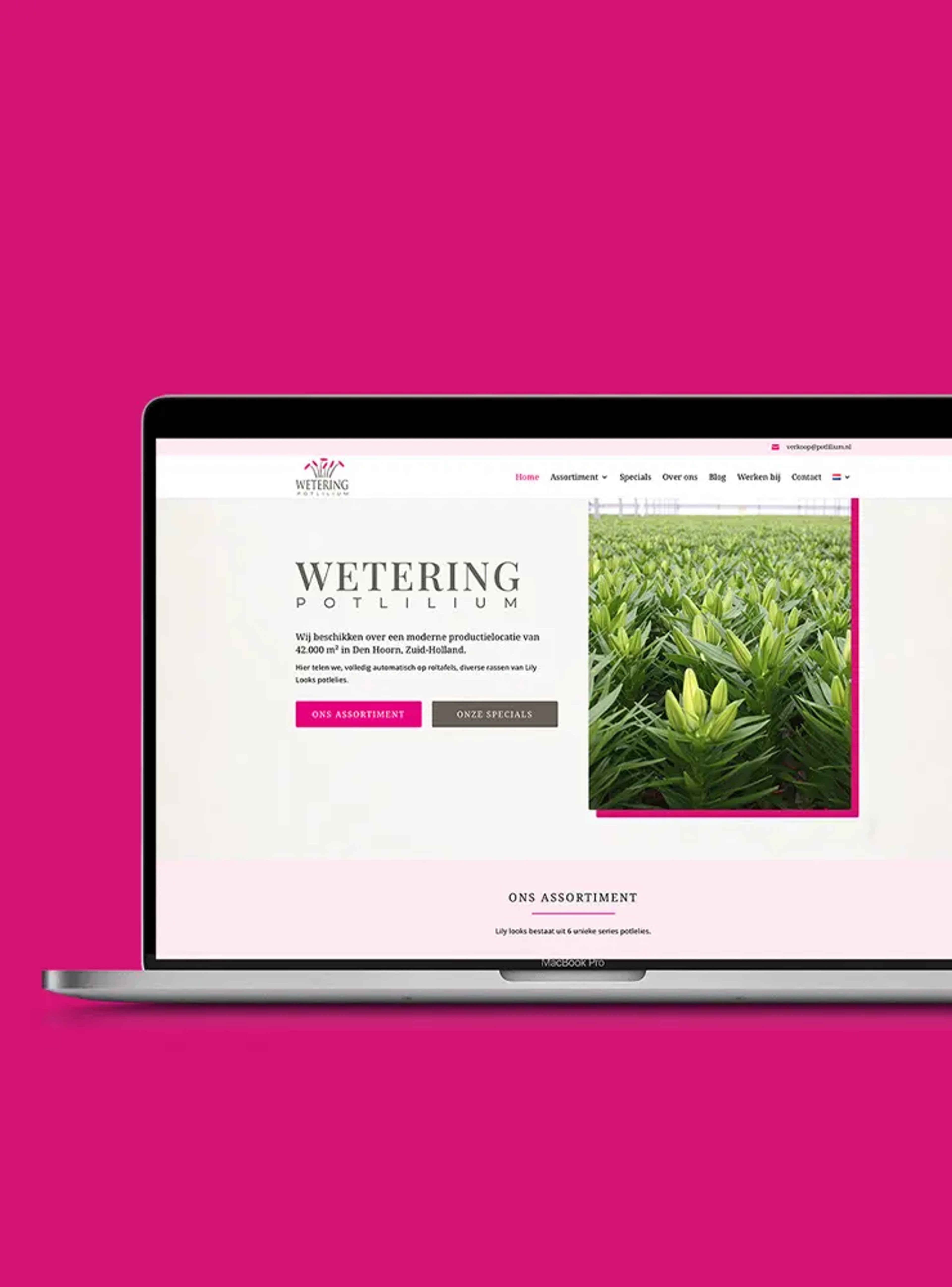 Wetering Potlilium