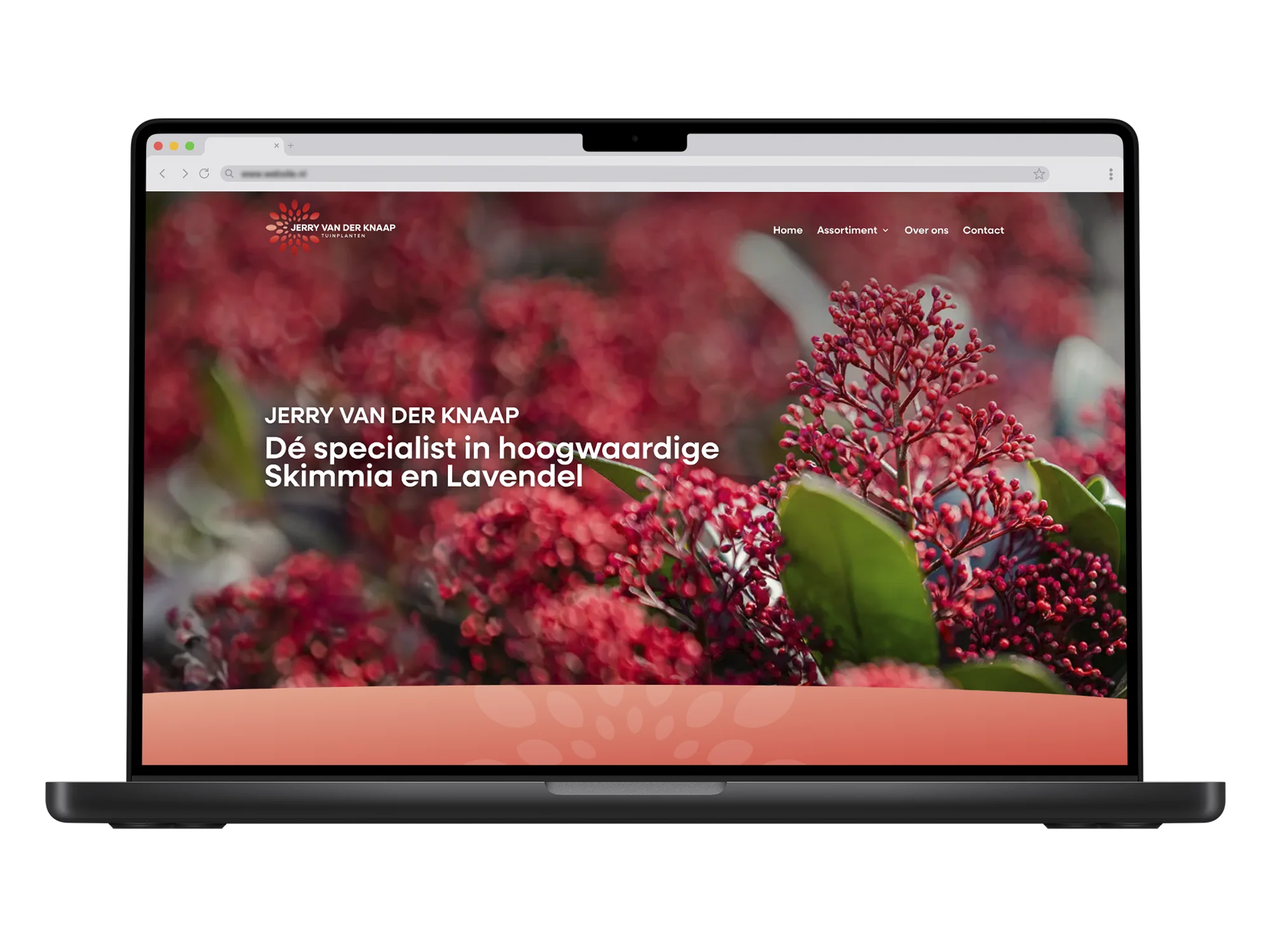 Jerry van der Knaap – mockup