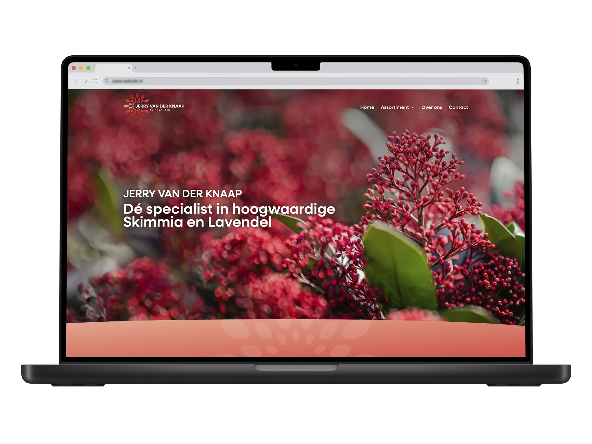 Jerry van der Knaap – mockup
