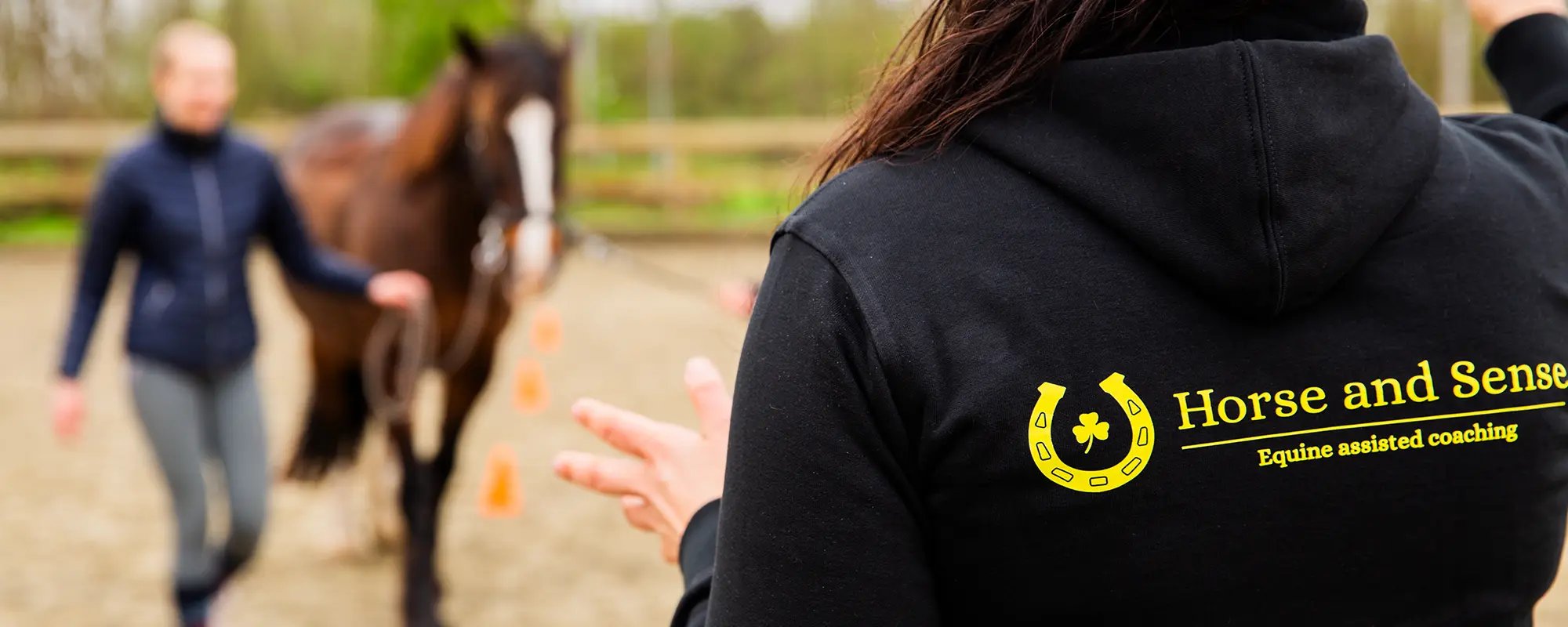 Horse and Sense – header