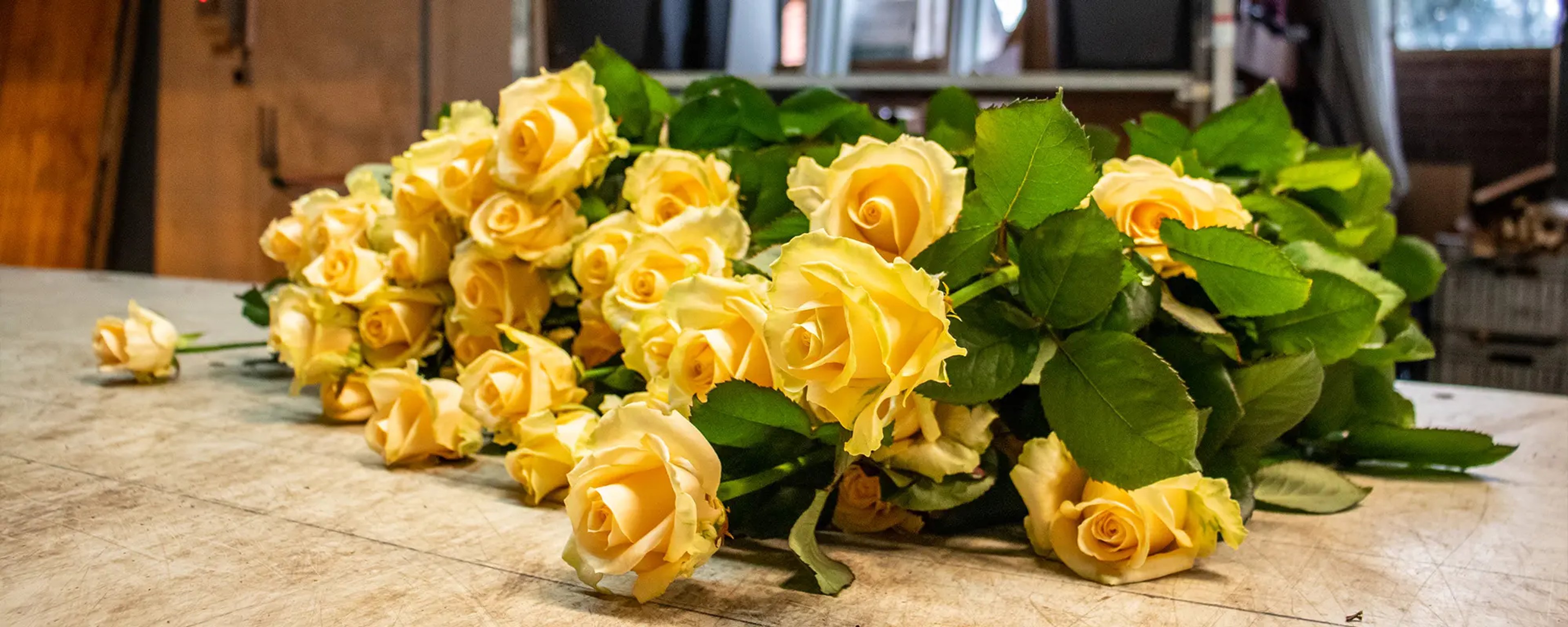 La Vie en Rose – header