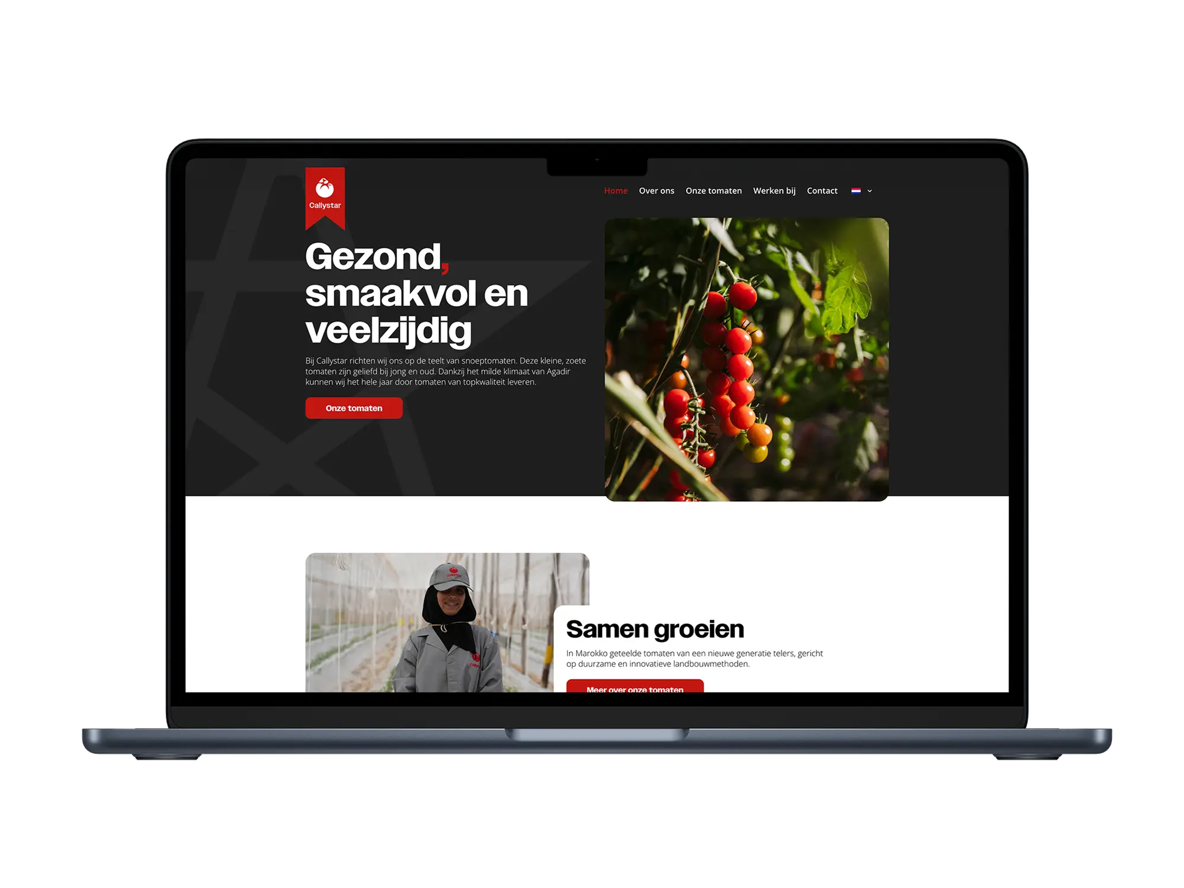 Callystar – mockup