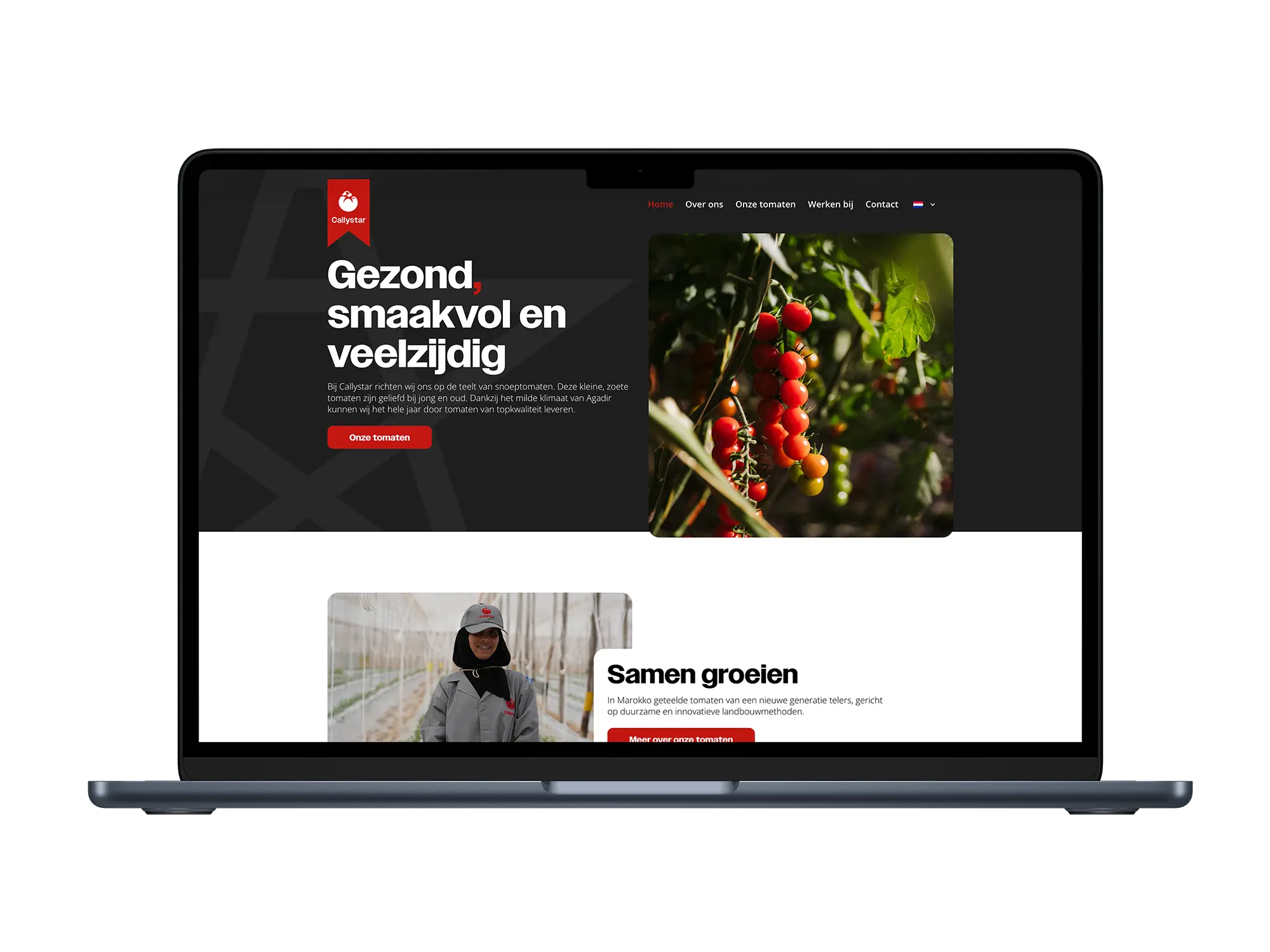 Callystar – mockup