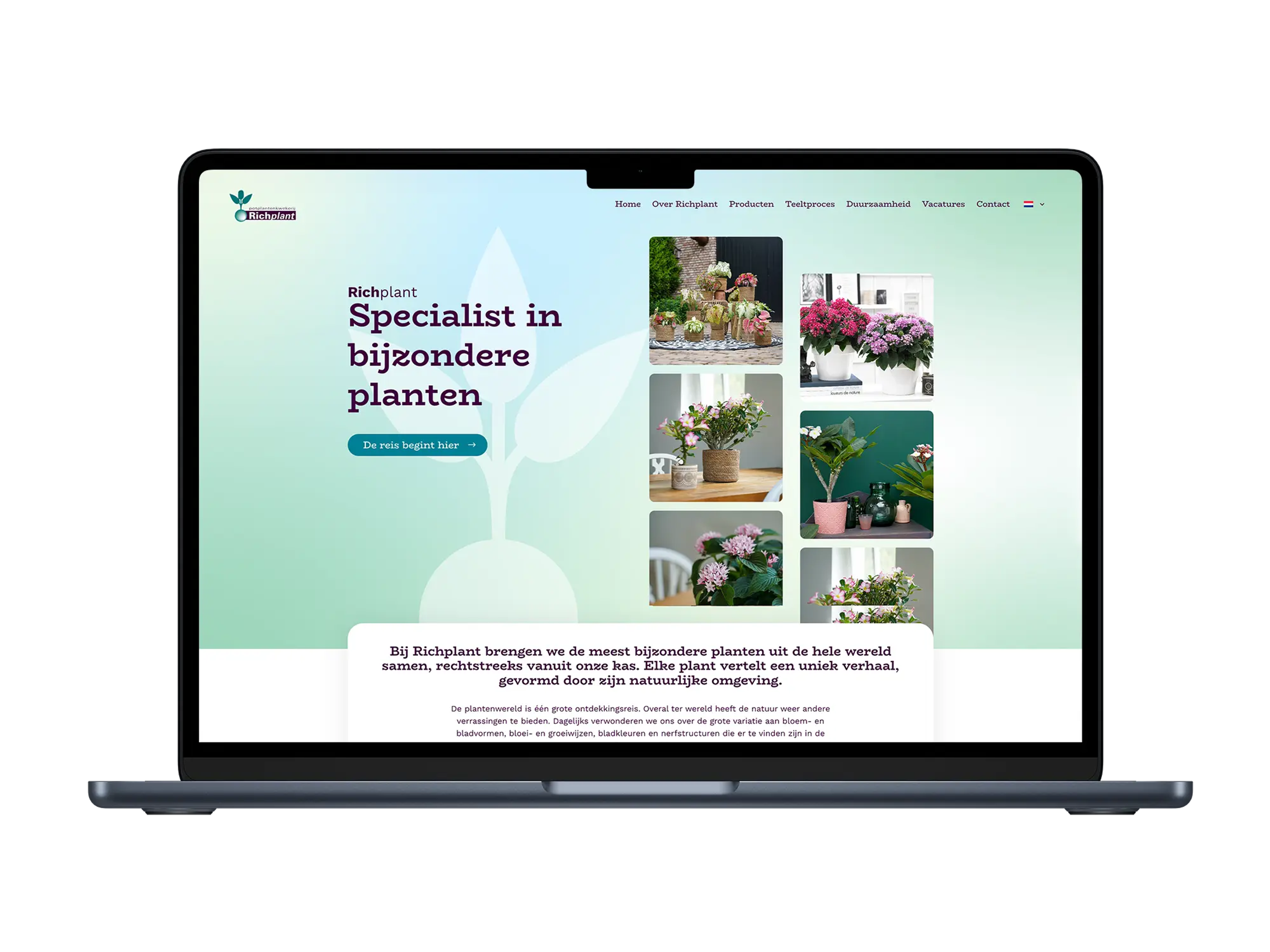Richplant – mockup